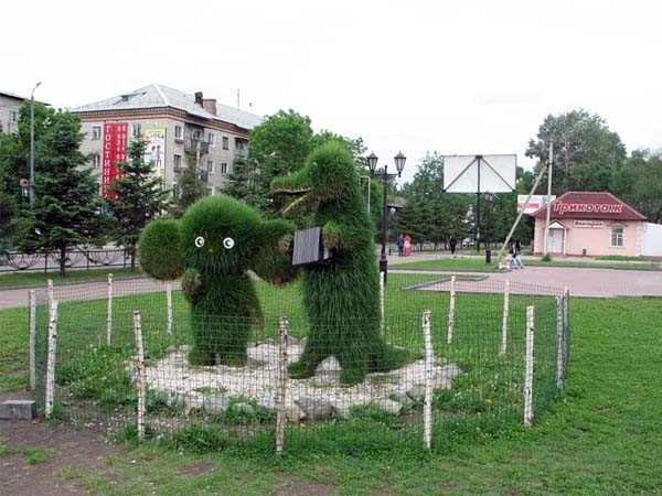Экскурсия в Единственный в мире Музей Трепанга 0 Экскурсия в Единственный в мире Музей Трепанга 0